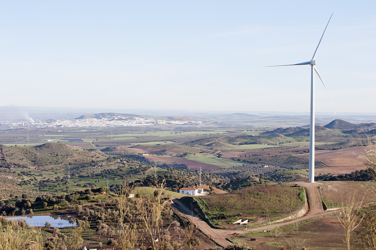 Paisaje energ&eacute;tico
Vista de la Campi&ntilde;a de Osuna y &Eacute;cija desde la zona conocida como &ldquo;Las Vi&ntilde;as&rdquo; en Osuna. La presencia de los aerogeneradores salpica las teselas de vegetaci&oacute;n forestal, peque&ntilde;os huertos y retazos de vid y olivo, y viviendas ligadas a 2&ordf; residencia.